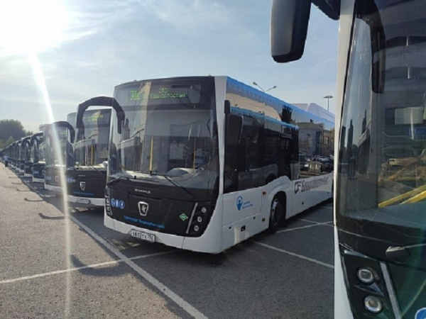 Рынок новых автобусов ушел «в минус»