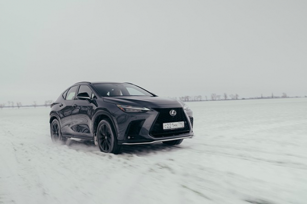 Игорь Моржаретто: Lexus NX – входной билет в директорскую ложу